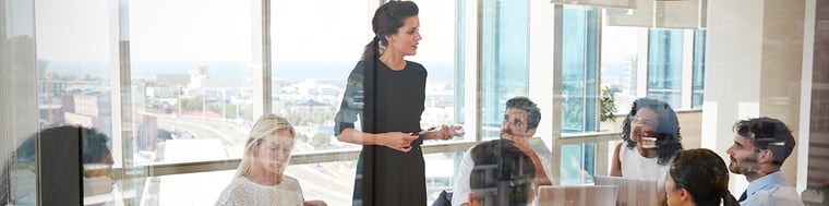 finance professional speaks to a meeting room of people